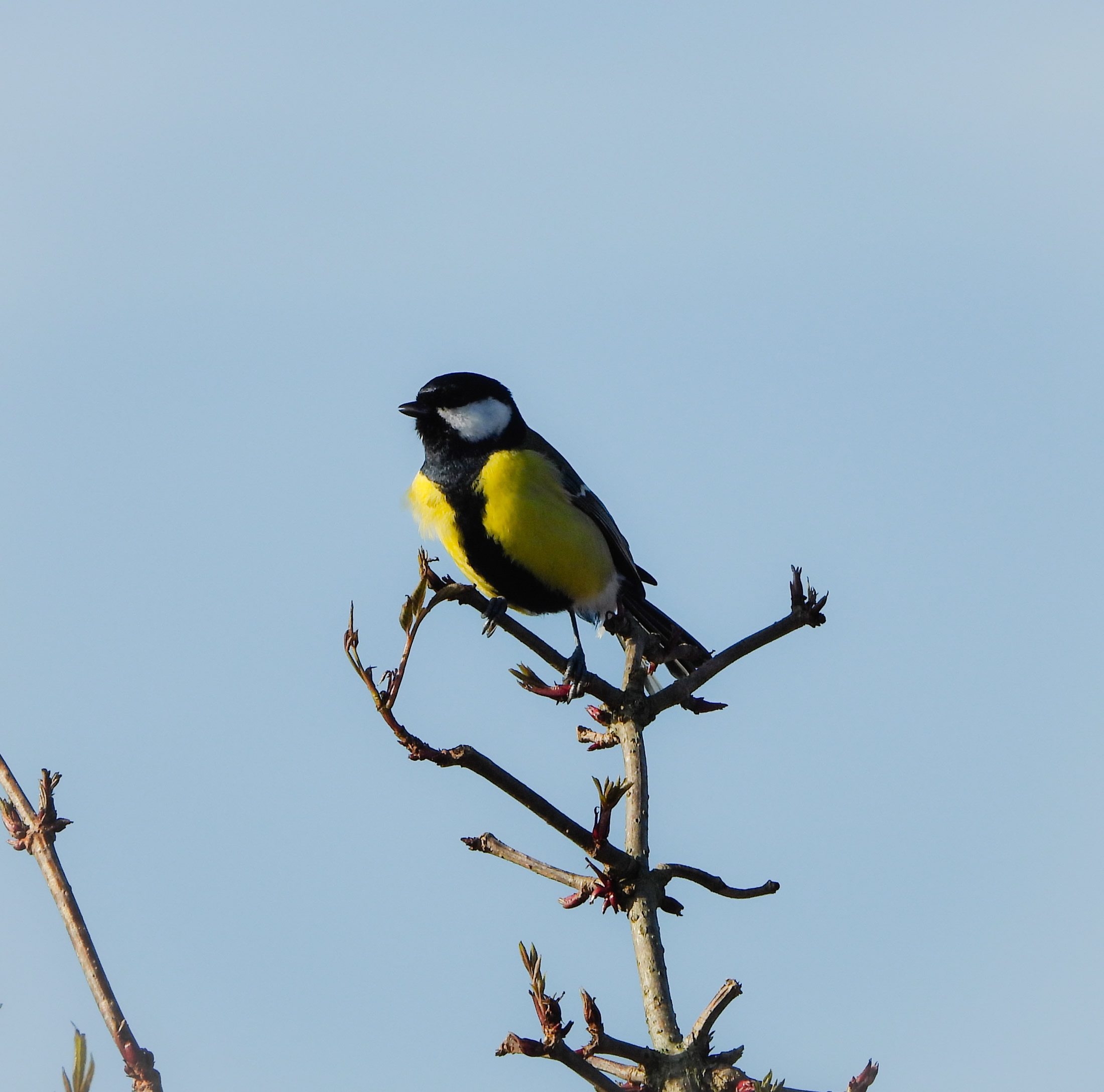 20240127_121841000_iOS