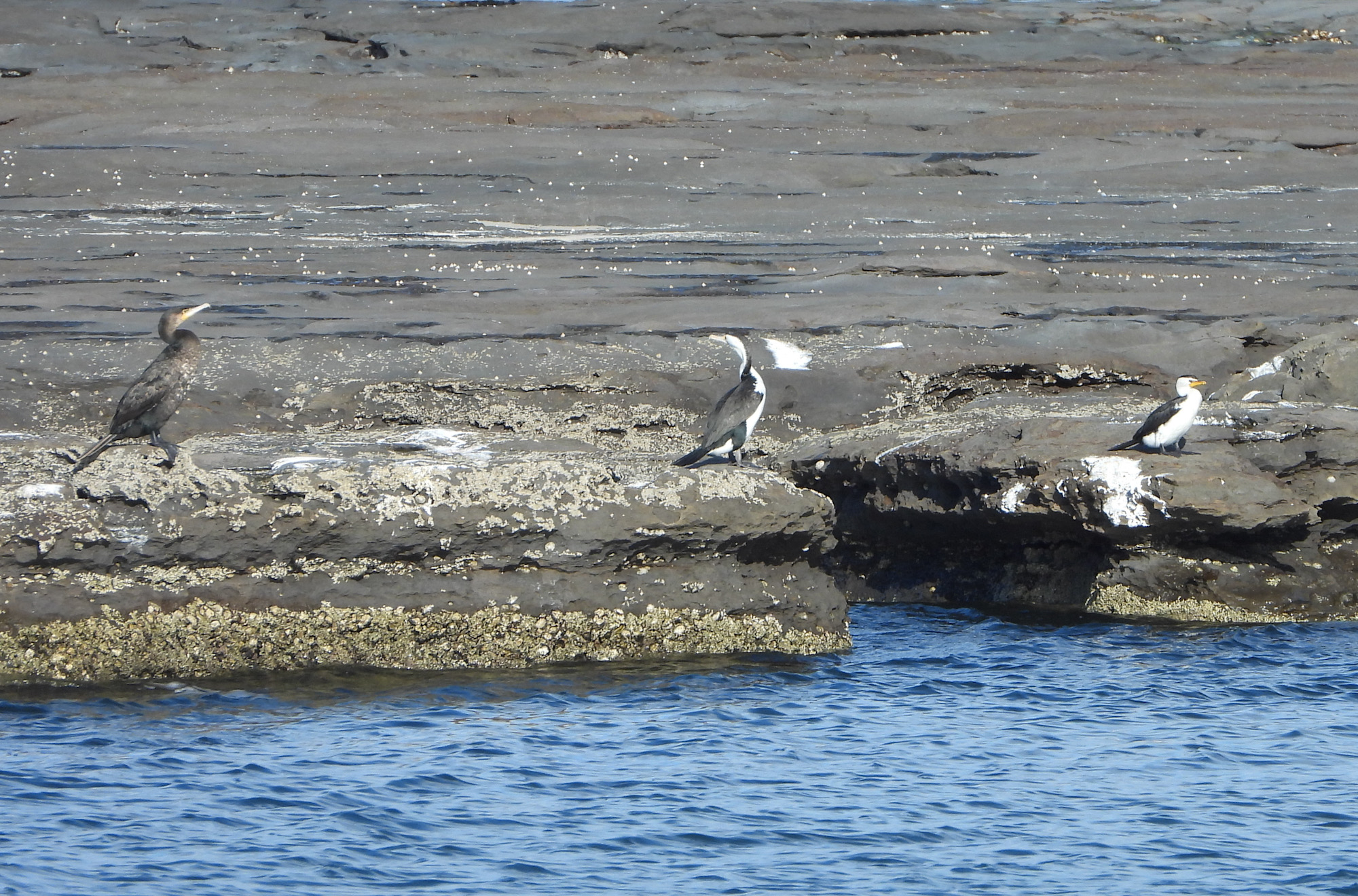 8F90CDCC-599E-40E3-A717-3CF8D2A88C2E