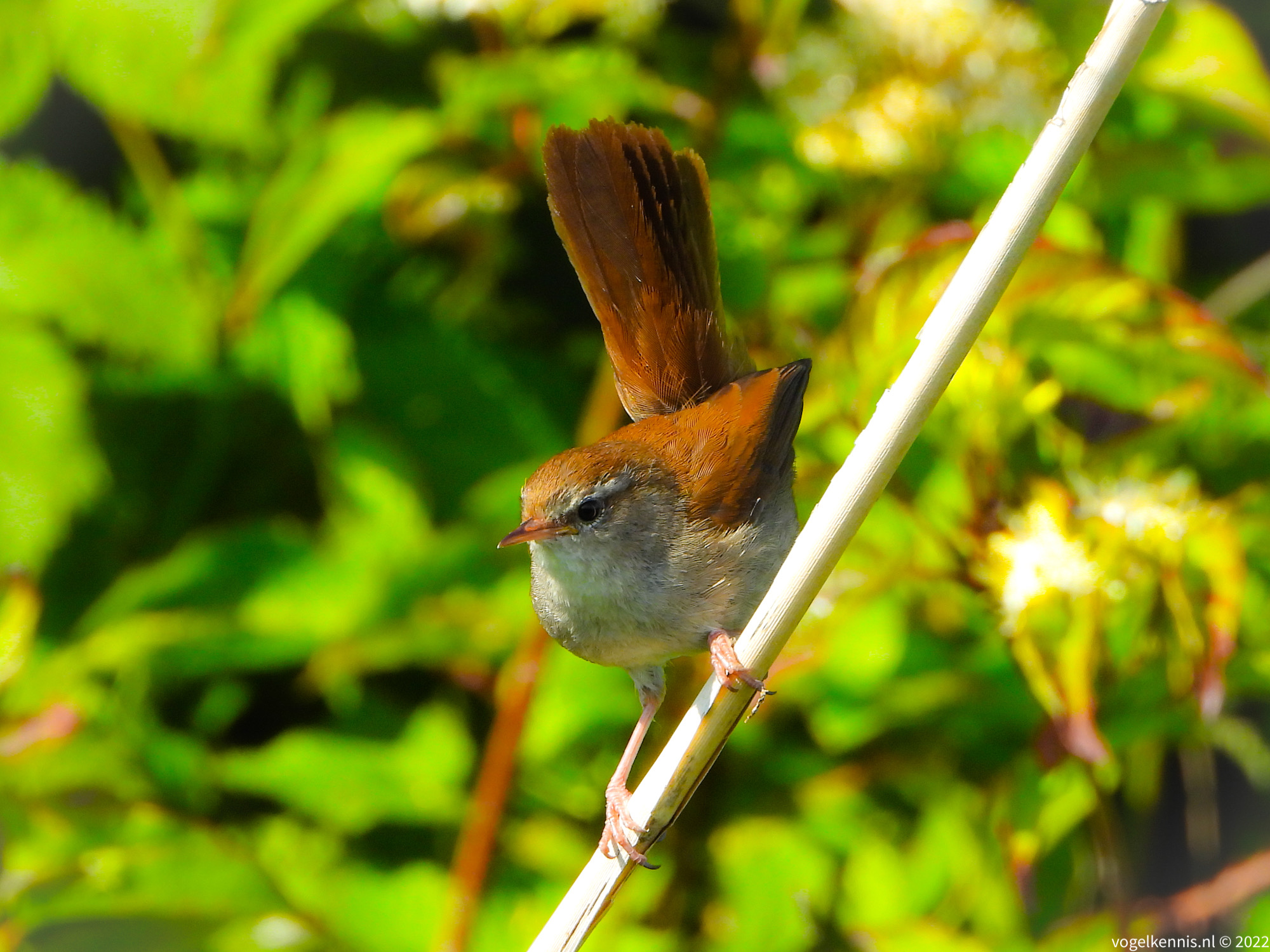 E3B63D24-9CD6-4FC8-AB9F-0811BC71E07A