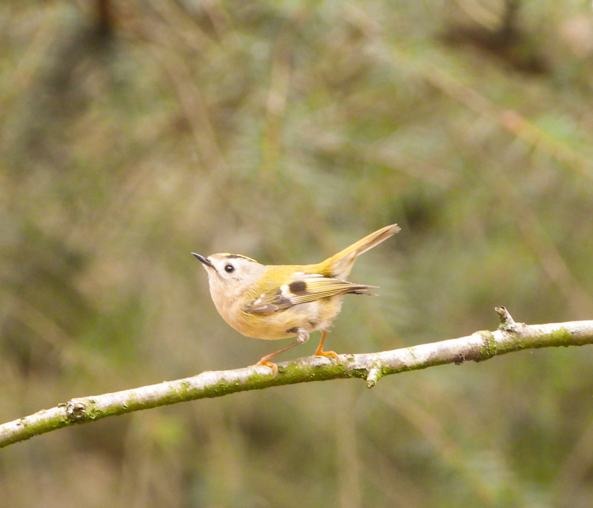 9E844AA7-48AE-4AEF-B18B-860A39E71F62