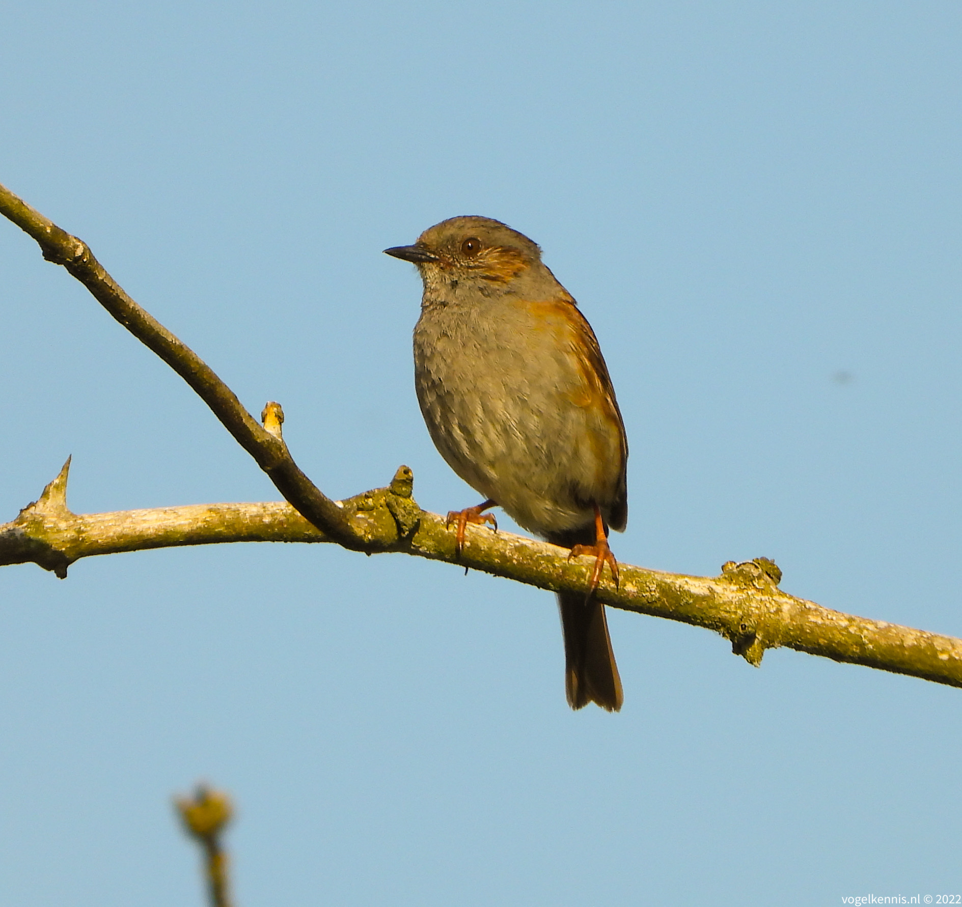 B9B8816E-2450-466D-AE1C-D2B13391B3F4