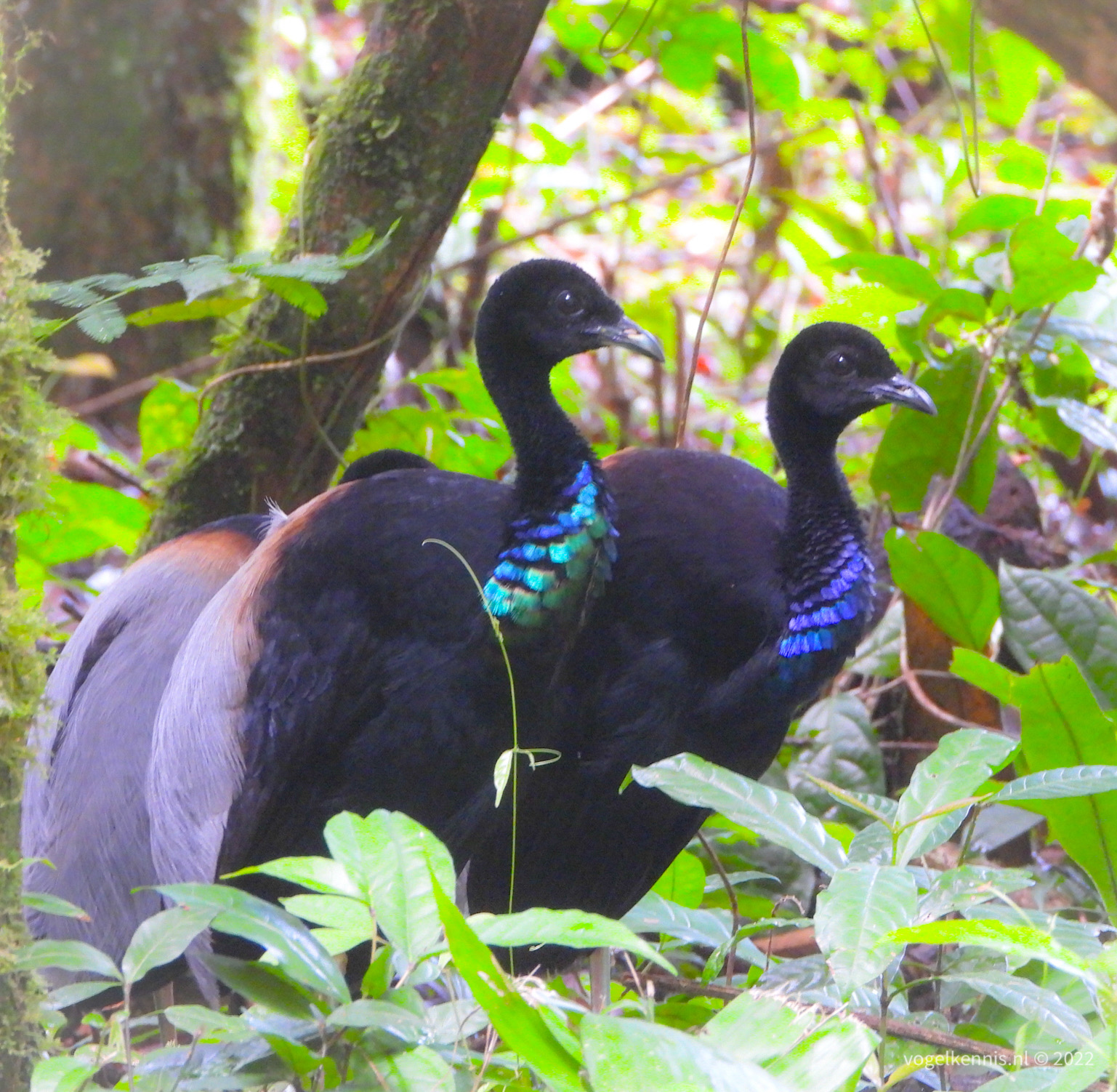 7C62A7BB-849C-4EAA-BFF7-50EA097673CD