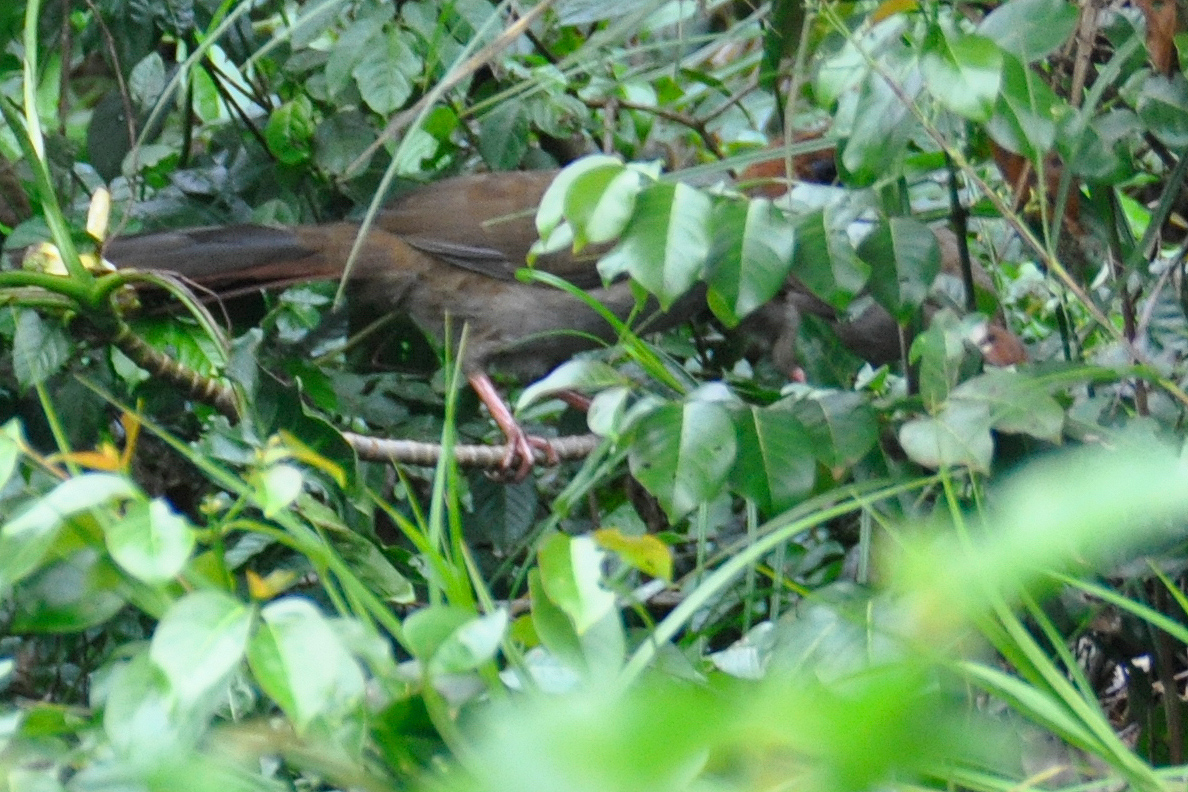 B826CF2A-D398-46C1-A464-4C6F2097EAF3